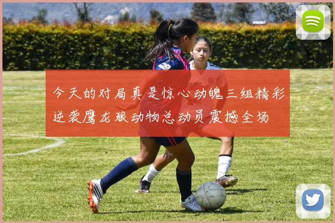 今天的对局真是惊心动魄三组精彩逆袭鹰龙狼动物总动员震撼全场