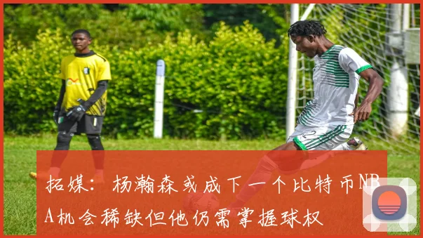 拓媒：杨瀚森或成下一个比特币NBA机会稀缺但他仍需掌握球权