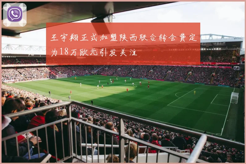 王宇翔正式加盟陕西联合转会费定为18万欧元引发关注