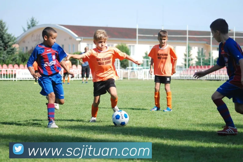 多媒体互动体验