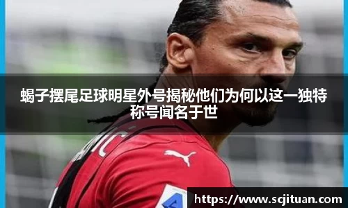 蝎子摆尾足球明星外号揭秘他们为何以这一独特称号闻名于世