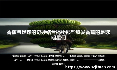 华体会hth官方网站